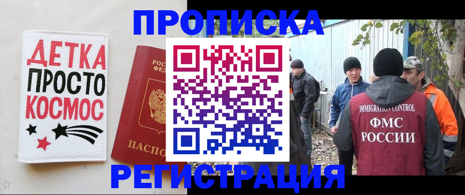 прописка поиск в Курске