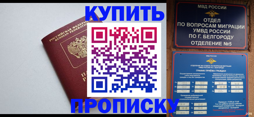 прописка регистрация в Курске